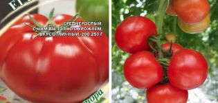 Opis sorte rajčice Kasatik i značajke njezinog uzgoja