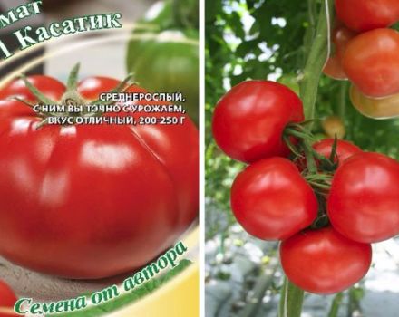 Descrizione della varietà di pomodoro Kasatik e delle caratteristiche della sua coltivazione