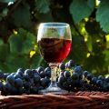 Evde yabani üzüm şarabı yapmak için en iyi tarif