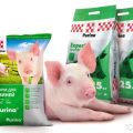 Beneficios y composición de Purine para cerdos, cómo administrarlo y vida útil