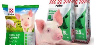 Voordelen en samenstelling van Purine voor varkens, hoe het toe te dienen en houdbaarheid