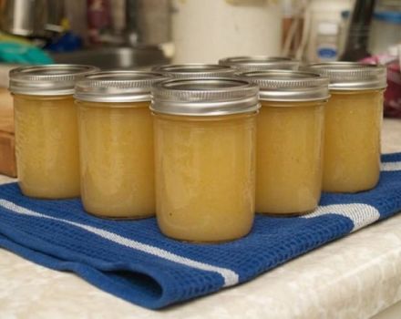 3 pinakamahusay na mga apple pear puree recipe para sa taglamig