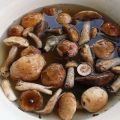 10 suosituinta reseptiä sienten suolaamiseksi kotona, kylmällä ja kylmällä