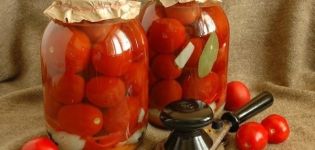 1-3 litrelik bir kavanoz için kış için aspirinli domates turşusu için en iyi 10 tarif