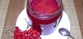 21 καλύτερες συνταγές για την προετοιμασία κενών viburnum για το χειμώνα στο σπίτι