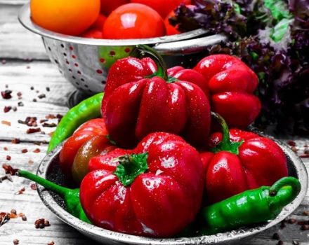 Description of varieties of peppers Ratunda, Ruby, Kolobok, Olenka (Gogoshary)