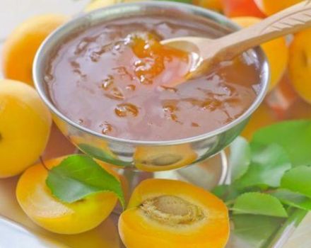 Step-by-step recipe for making apricot jam with gelatin for the winter