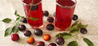 5 enkle opskrifter til fremstilling af kirsebærplommevin trin for trin derhjemme
