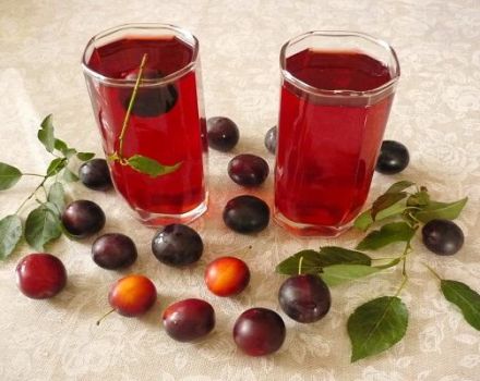 5 simpleng mga recipe para sa paggawa ng cherry plum wine na hakbang-hakbang sa bahay