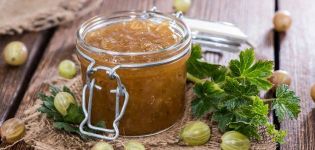 Top 8 rýchlych 5-minútových receptov egrešovového džemu na zimu