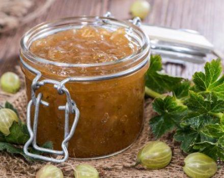 Top 8 quick 5-minute gooseberry jam recipes for the winter
