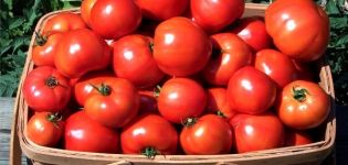 Beskrivelse af Toptyzhka-tomatsorten, dens egenskaber og dyrkning