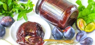 TOP 10 recepata za pravljenje džema od šljiva s kakaom za zimu
