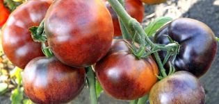 Pomidorų veislės „Ivan da Marya“ aprašymas