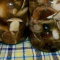 Kuinka suolata ja suolakurkkua haapa-sieniä, talviset reseptit purkeissa