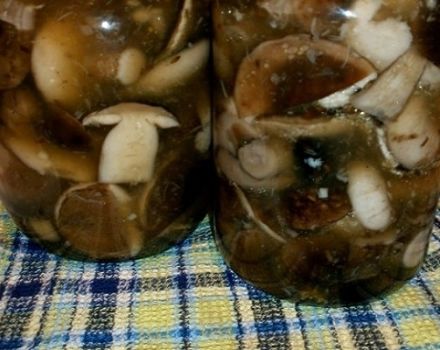 Ako soliť a nakladať osiky huby, recepty na zimu v nádobách