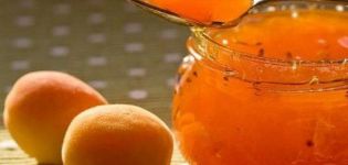 Det bästa receptet för att göra aprikos sylt med citron steg för steg