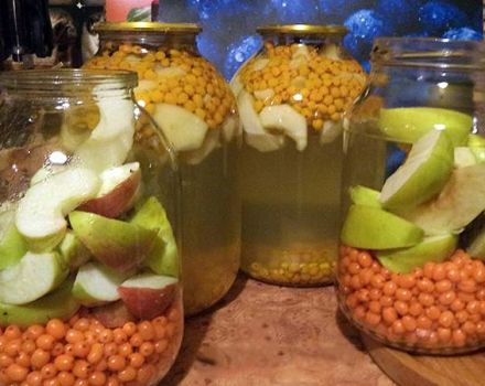 4 nejlepší recepty na výrobu kompotů z jablek a rakytníku na zimu