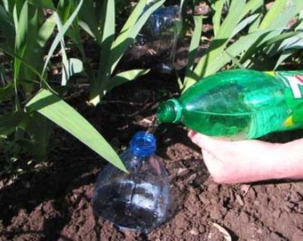 Do-it-yourself pilienveida apūdeņošana gurķiem no plastmasas pudelēm