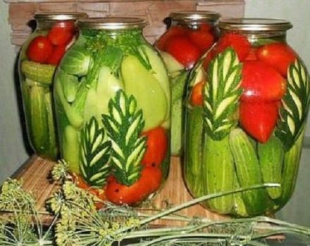 TOP 6 opskrifter til madlavning af forskellige tomater, agurker og kål til vinteren