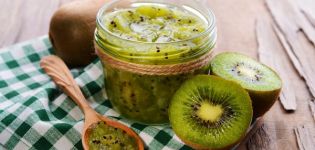 Recipe for a delicious and unusually beautiful kiwi jam