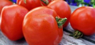 Descripción de la variedad de tomate Atol, sus características y rendimiento.