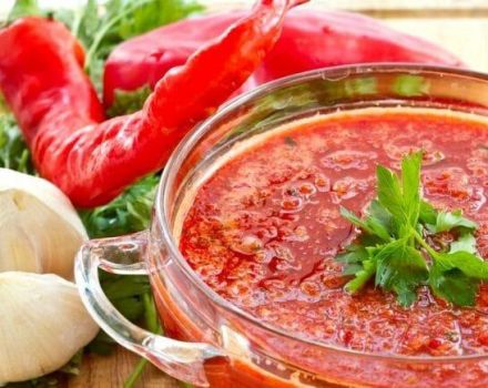 12 beste Rezepte für die Zubereitung von süßem Adjika für den Winter aus Paprika und Tomaten