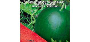 Περιγραφή της ποικιλίας καρπουζιών Σιβηρικά φώτα, τεχνολογία καλλιέργειας, φύτευση και φροντίδα