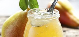 TOP 12 simple recipes for making pear jelly for the winter