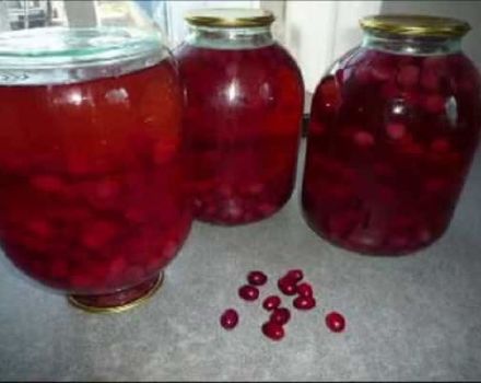 Simple step-by-step recipes for preparing dogwood compote for the winter in a three-liter jar, without sterilization