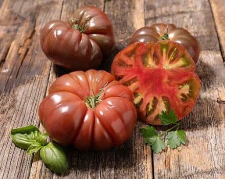 Beskrivelse af tomatsorten Kvindelig andel f1, dens egenskaber