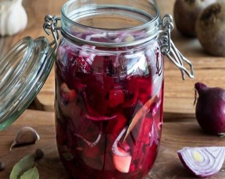 20 best step-by-step recipes for making beetroot blanks for the winter