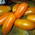 Kenmerken en beschrijving van de variëteit van tomaat Goldfish, de opbrengst