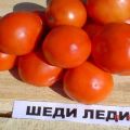 Karakteristike i opis sorte rajčice Shedi lady, njen prinos