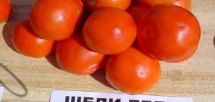 Egenskaper och beskrivning av Shedi lady-tomatsorten, dess utbyte