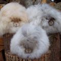 Beschrijving en kenmerken van Angora-konijnen, onderhoudsregels