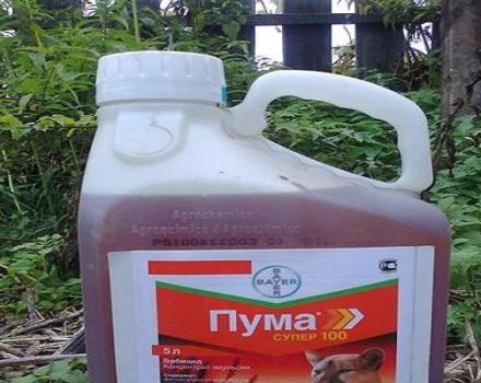 Instructions for the use of the herbicide Puma Super 100 and the consumption rate of the drug