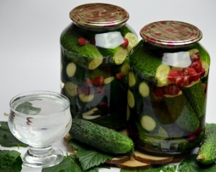 Recepty na nakladané uhorky s bazalkou na zimu