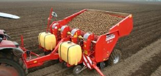 Types de planteuses de pommes de terre pour un tracteur à conducteur marchant, comment le faire soi-même, leurs avantages et leur principe de fonctionnement