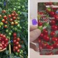 Beskrivelse af tomatsorten Børns glæde og dens egenskaber