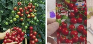 Opis odrody paradajok Radosť pre deti a jej vlastnosti