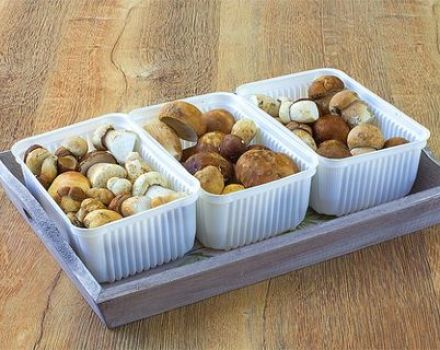 How to properly freeze porcini mushrooms for the winter