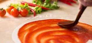 11 migliori ricette passo-passo per salsa di pomodoro per pizza