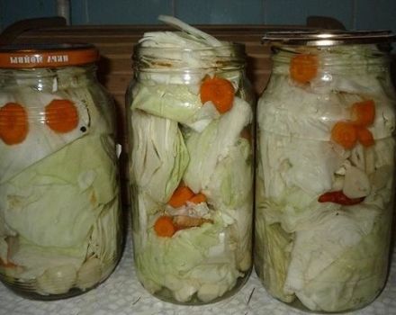 Kış için beyaz lahanadan boşluk hazırlamak için en iyi 15 tarif