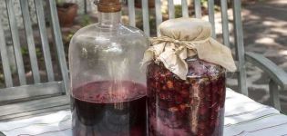 TOP 7 yksinkertaista reseptiä viinin valmistamiseksi hilloista kotona