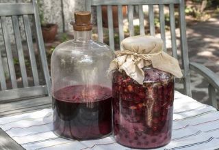 TOP 7 einfache Rezepte für die Herstellung von Wein aus Marmelade zu Hause