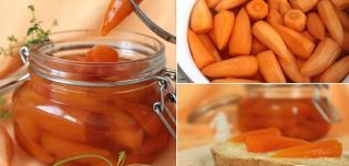 A simple recipe for making carrot jam for the winter