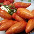 Charakterystyka i opis odmiany pomidora Przysmak moskiewski, jego plon