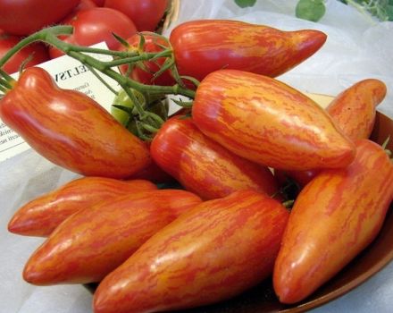 Características y descripción de la variedad de tomate manjar de Moscú, su rendimiento.