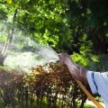 Beschreibung der 24 besten Fungizide für den Garten, Wirkmechanismus und Gebrauchsanweisung